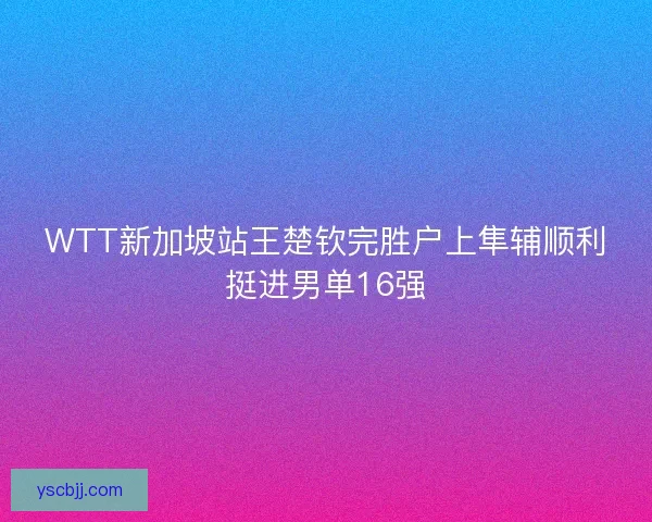 WTT新加坡站王楚钦完胜户上隼辅顺利挺进男单16强