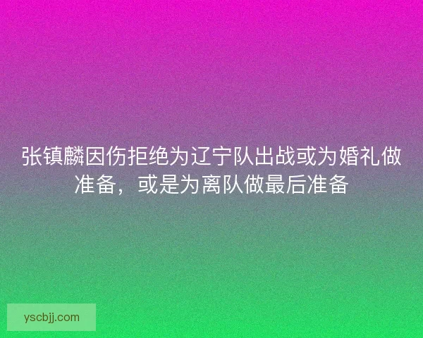 张镇麟因伤拒绝为辽宁队出战或为婚礼做准备，或是为离队做最后准备
